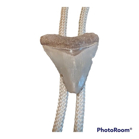 Megalodon Shark Tooth Fossil Bolo Tie - Picture 1 of 5